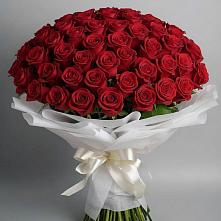 Букет 101 Красная роза Блэк Мэджик #REPLACE_PRED# Плесецке