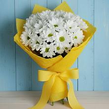 Букет цветов из:  Хризантемы в Плесецке