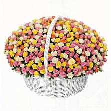 Премиум букет из: Розы #REPLACE_PRED# Плесецке