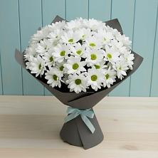 Букет цветов из:  Хризантемы в Плесецке