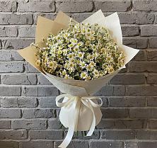Букет цветов из:  Ромашки #REPLACE_PRED# Плесецке