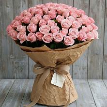 Букет 151 Роза Роуз #REPLACE_PRED# Плесецке