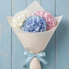 Букет цветов из:  Гортензия #REPLACE_PRED# Плесецке