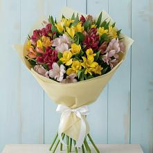 Букет цветов из:  Альстромерии в Плесецке