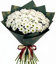 Букет цветов из:  Хризантемы в Плесецке