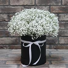 Цветочная композиция из Гипсофила в шляпной коробке в Плесецке