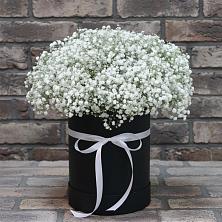 Цветочная композиция из Гипсофила в шляпной коробке в Плесецке